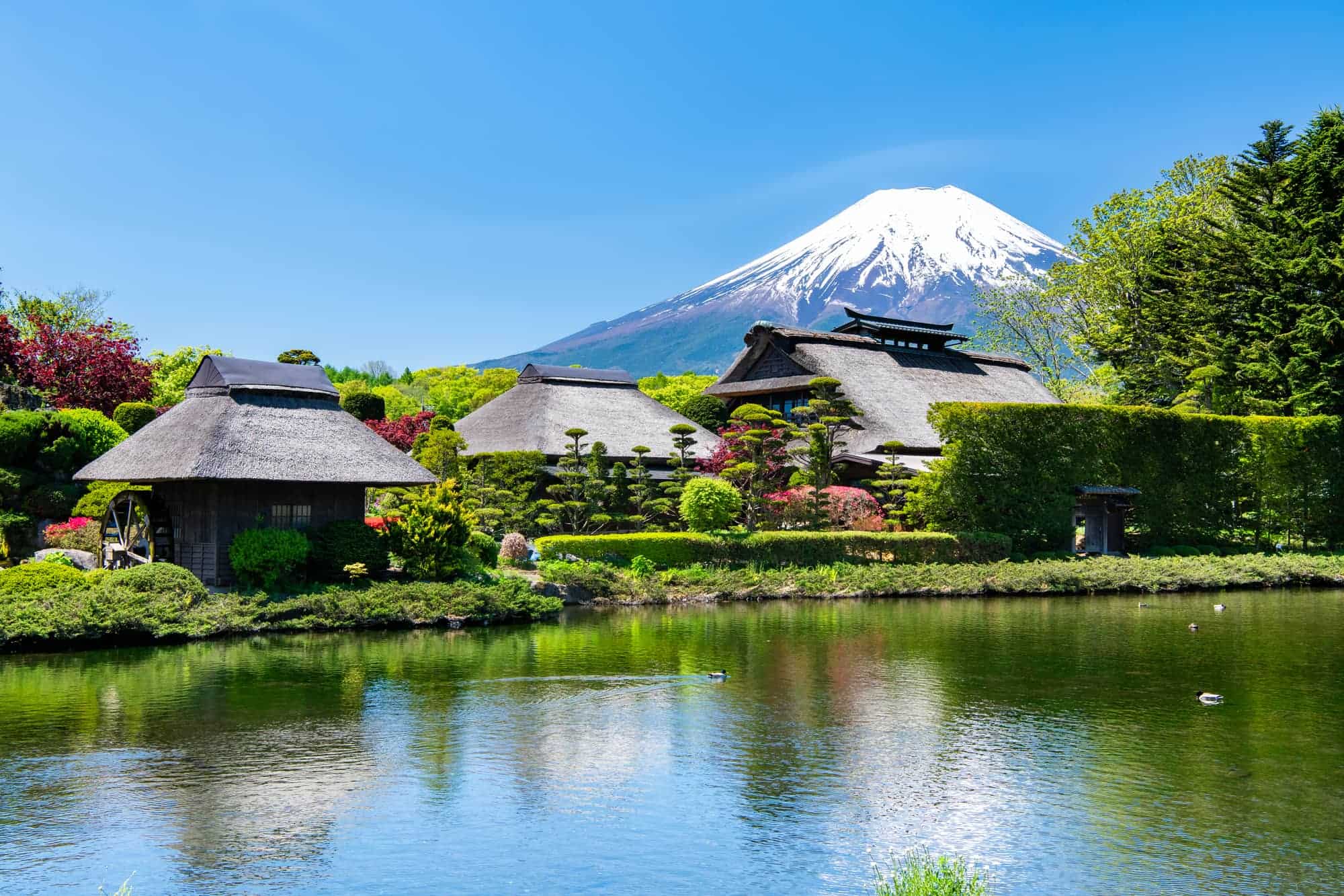 [Tour mùa hè ] HÀ NỘI - SHIZUOKA - KYOTO - PHÚ SĨ - TOKYO